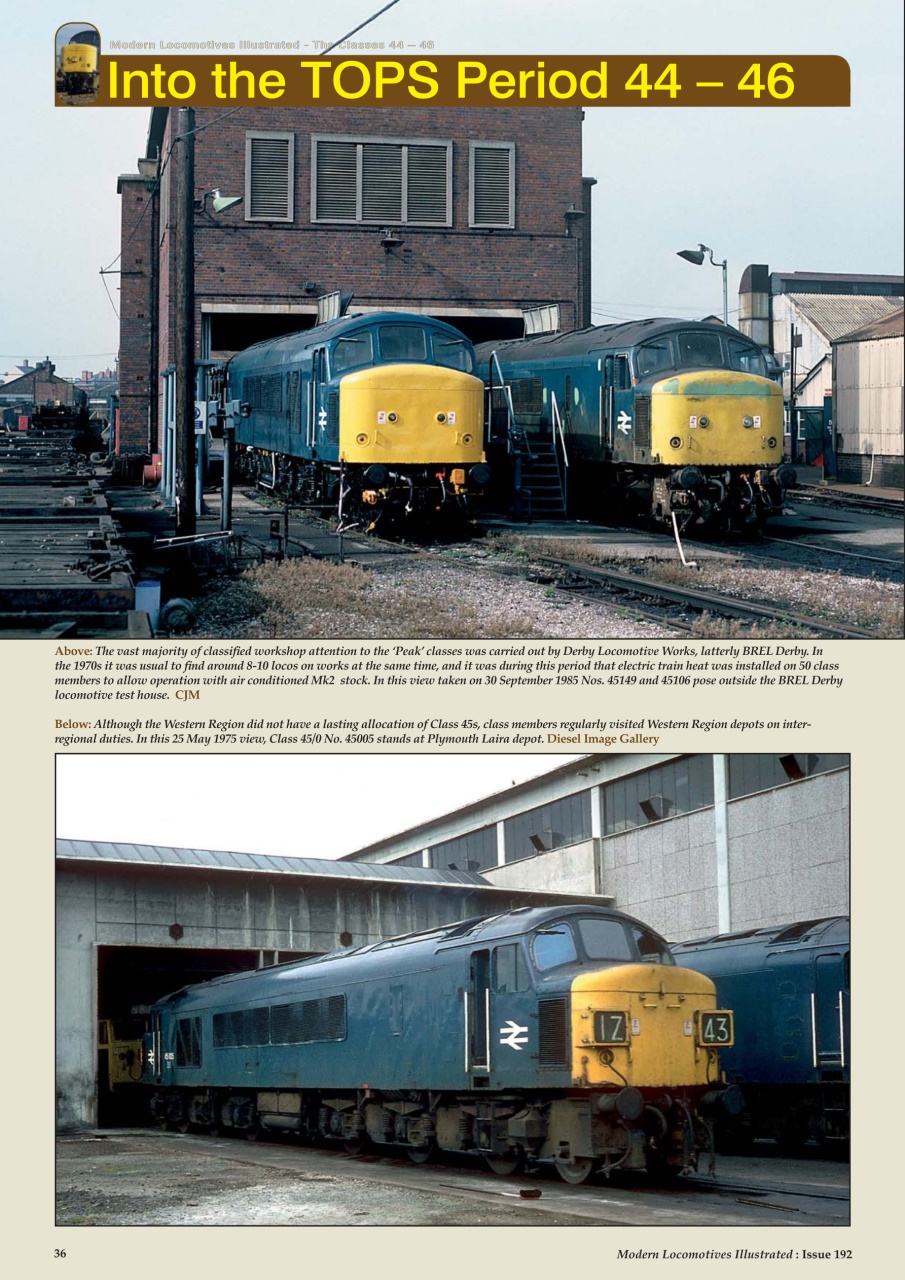 MLI Plus Preview Pages