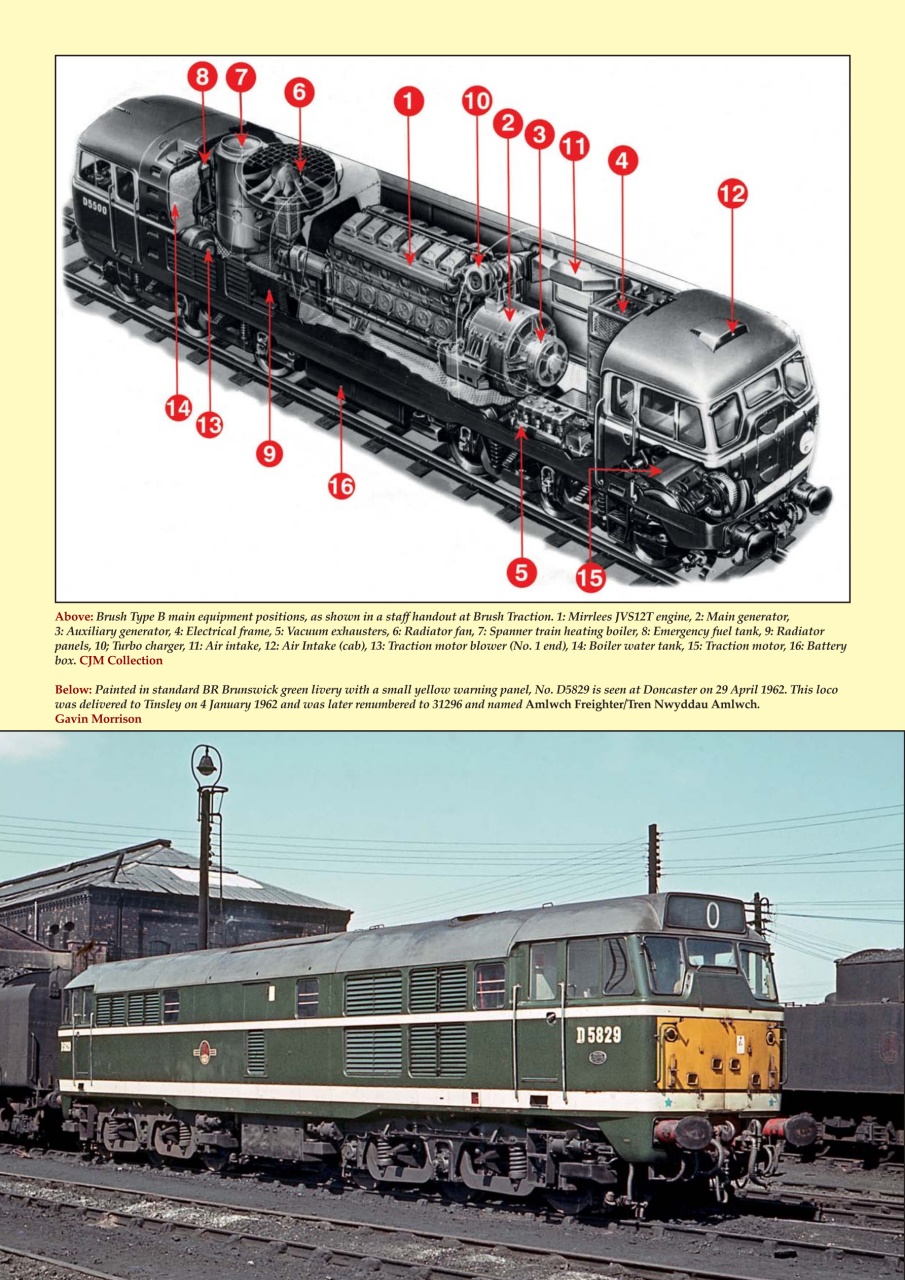 MLI Plus Preview Pages