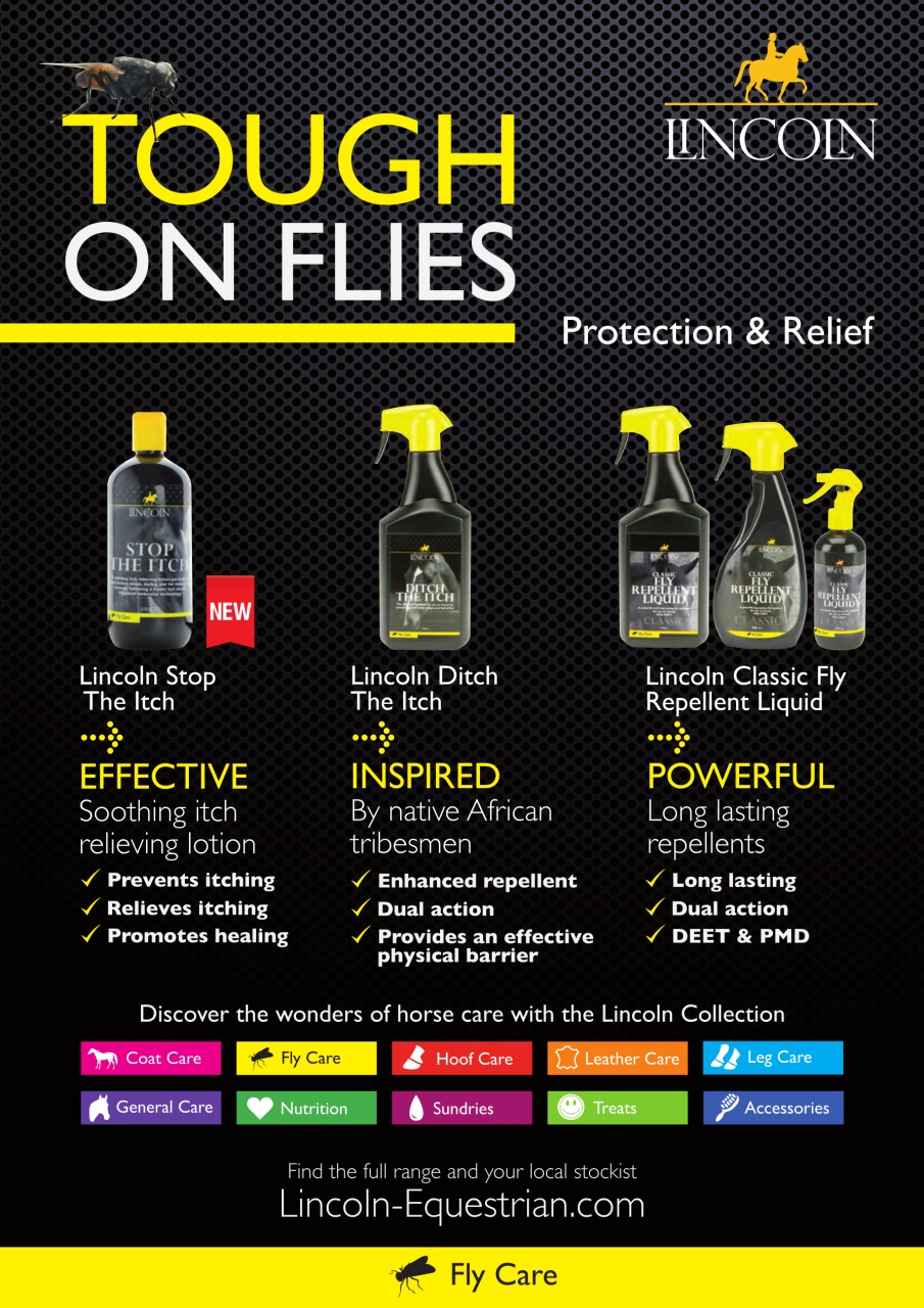 Your Horse Preview Pages