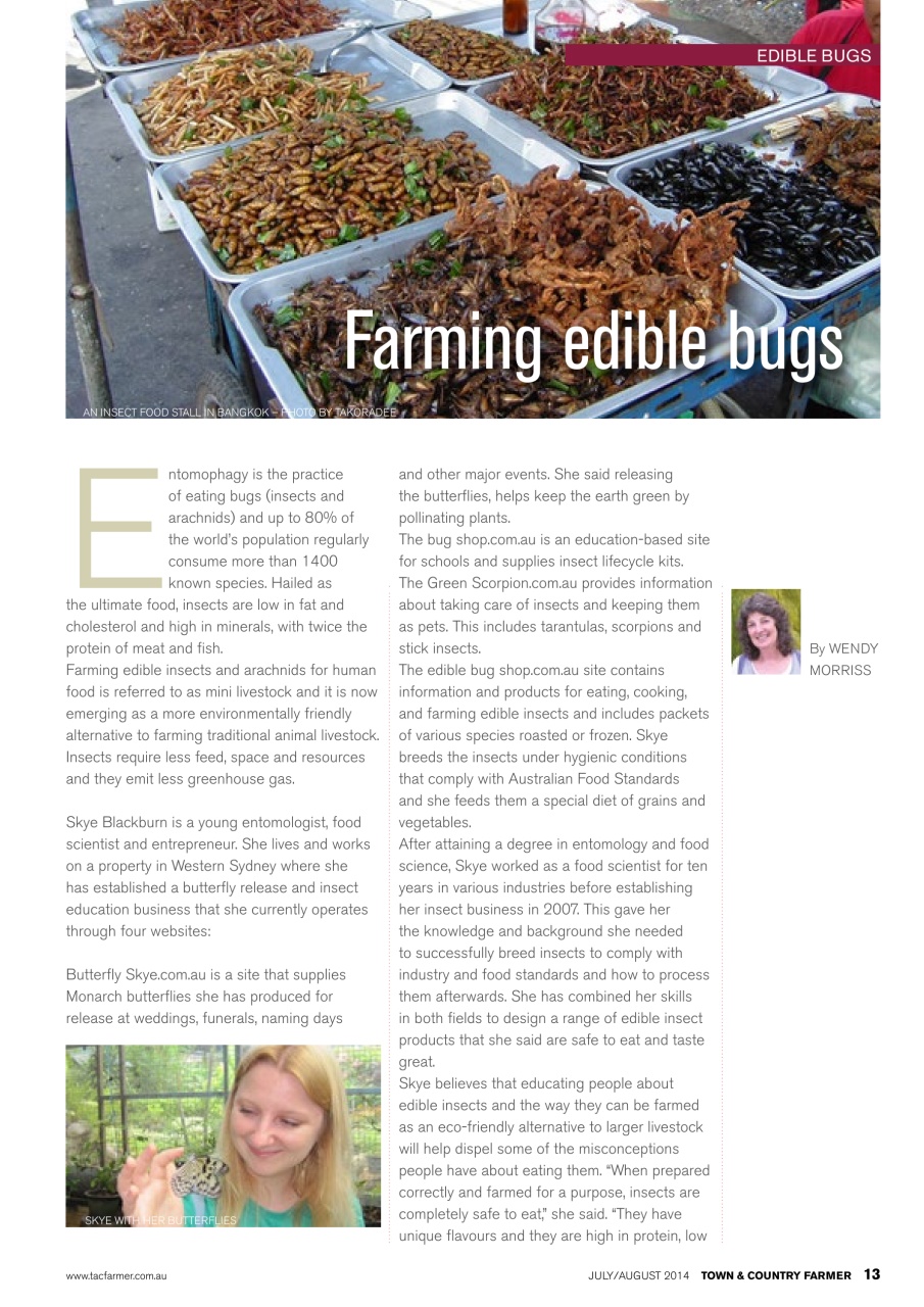 Town And Country Farmer Preview Pages