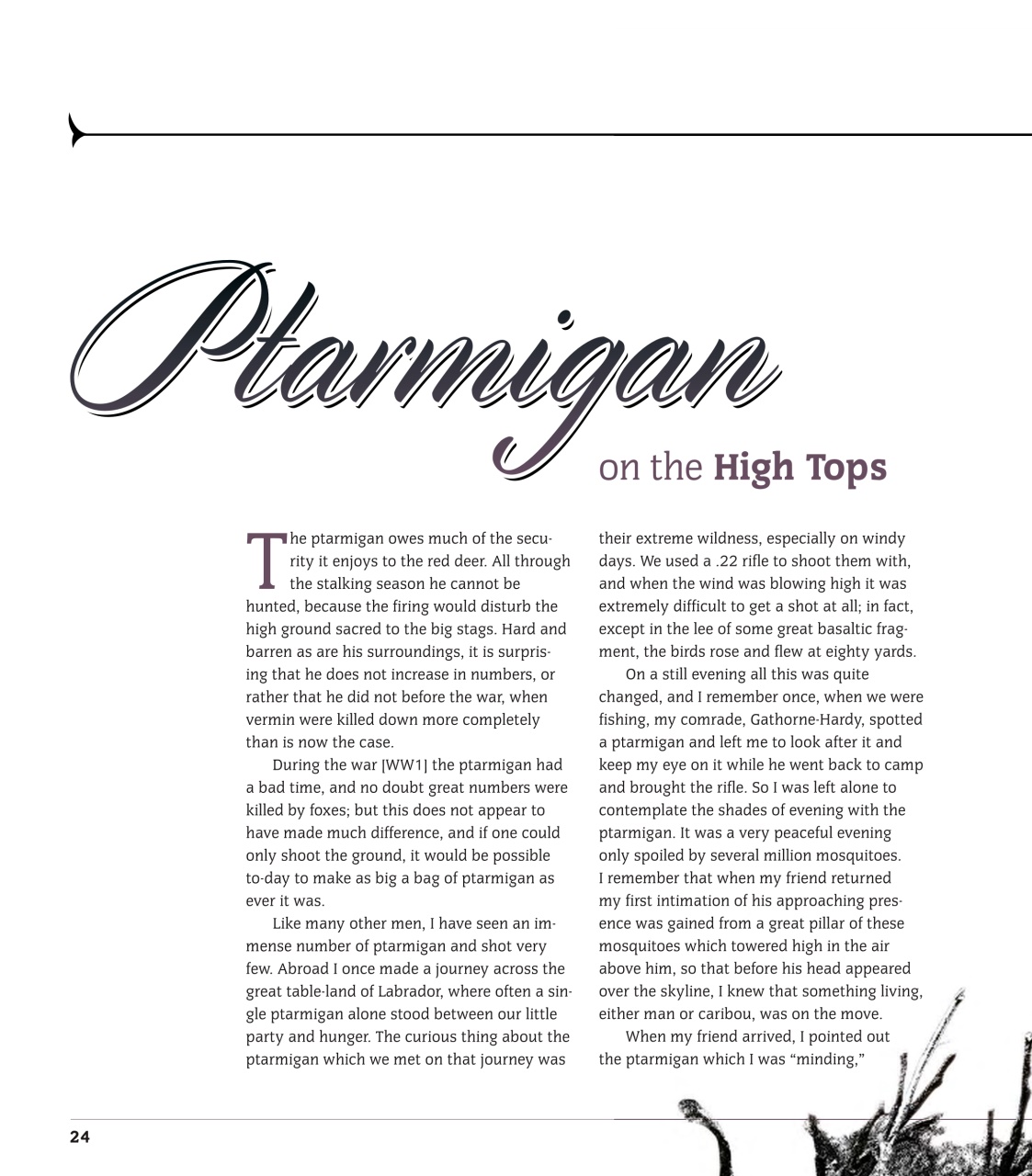 Sporting Rifle Books Preview Pages