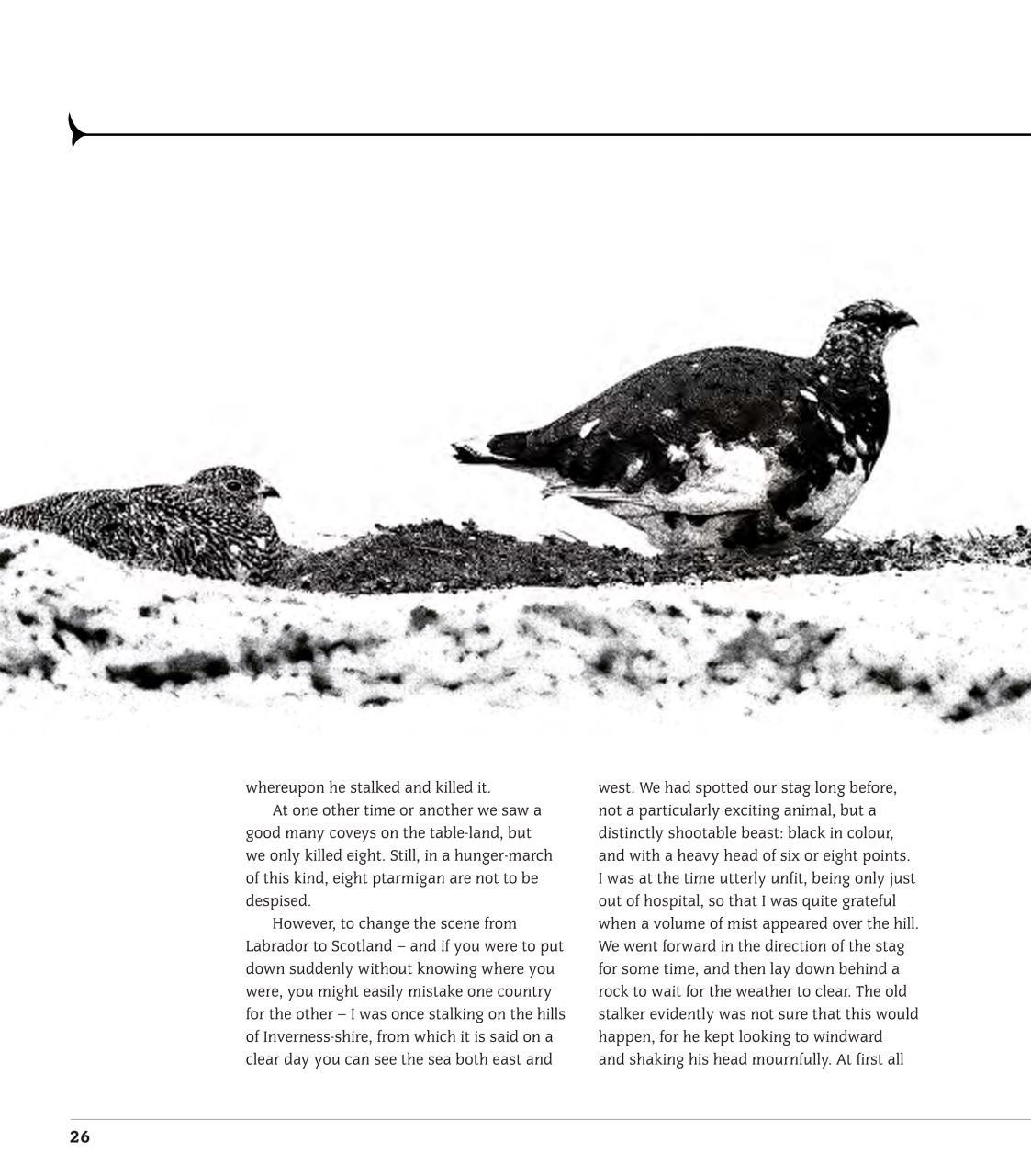 Sporting Rifle Books Preview Pages