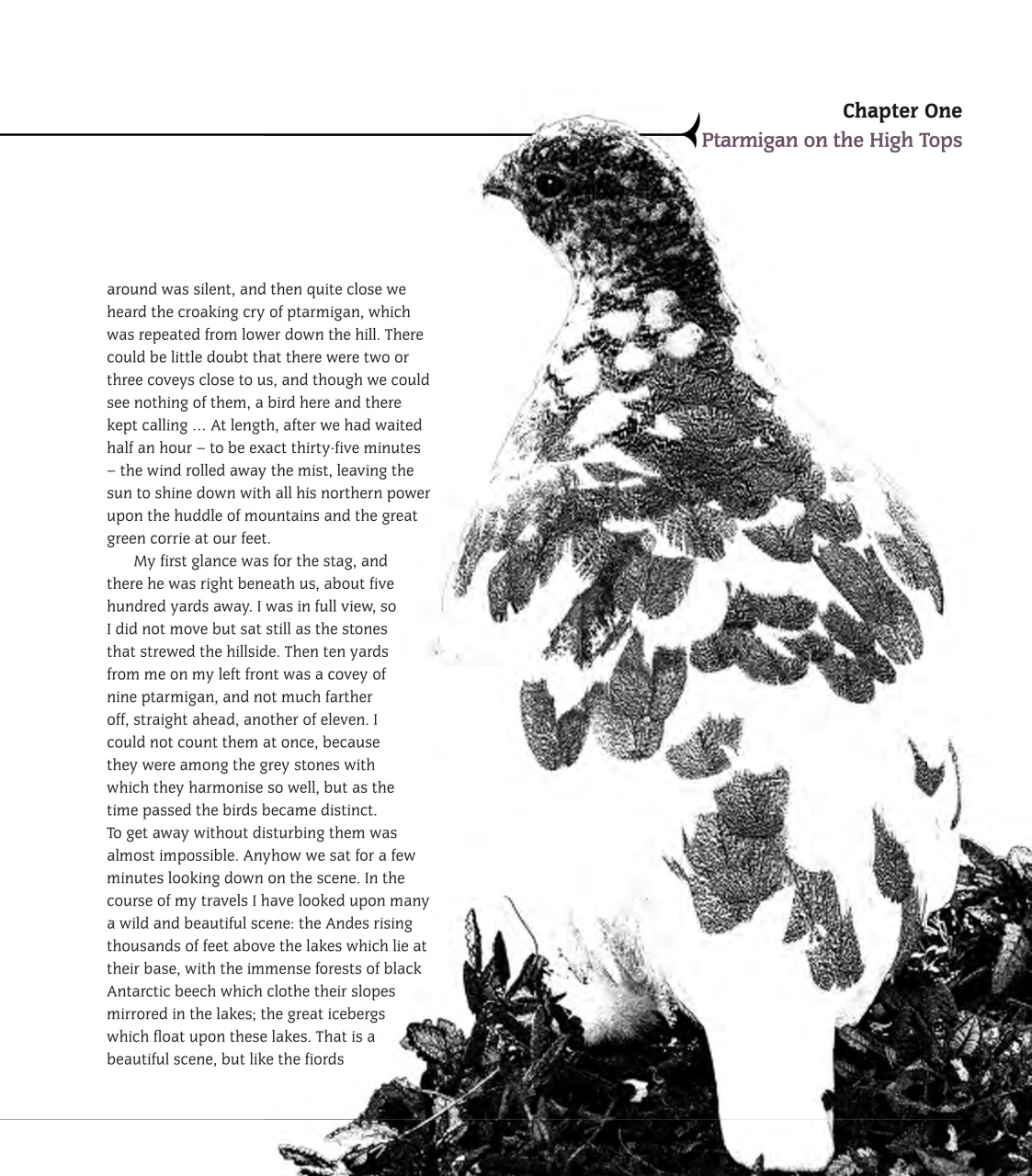 Sporting Rifle Books Preview Pages