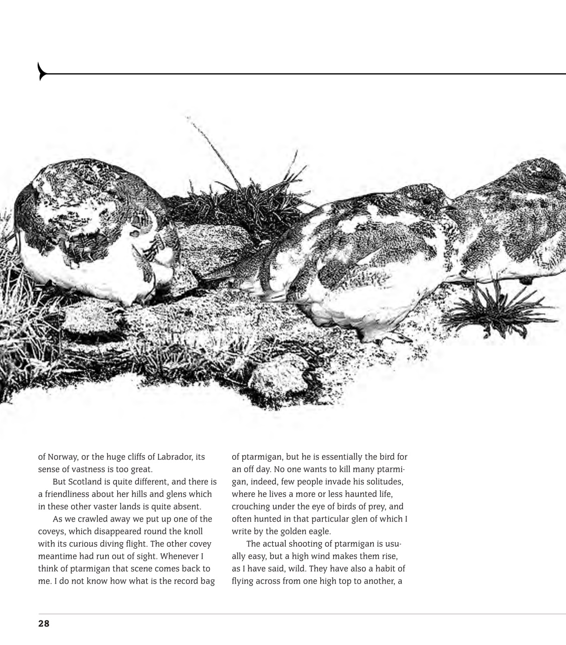 Sporting Rifle Books Preview Pages