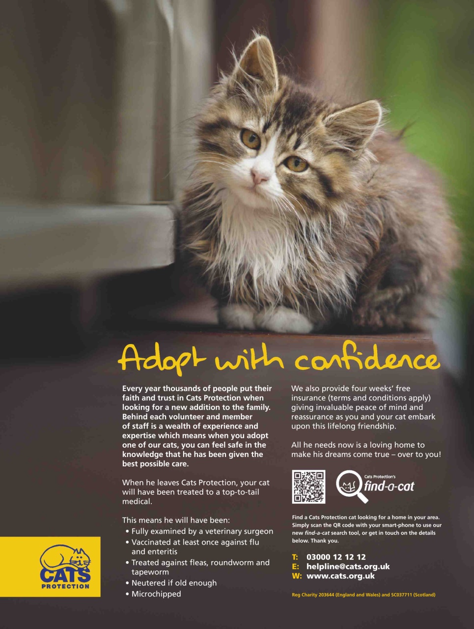 British Period Homes Preview Pages