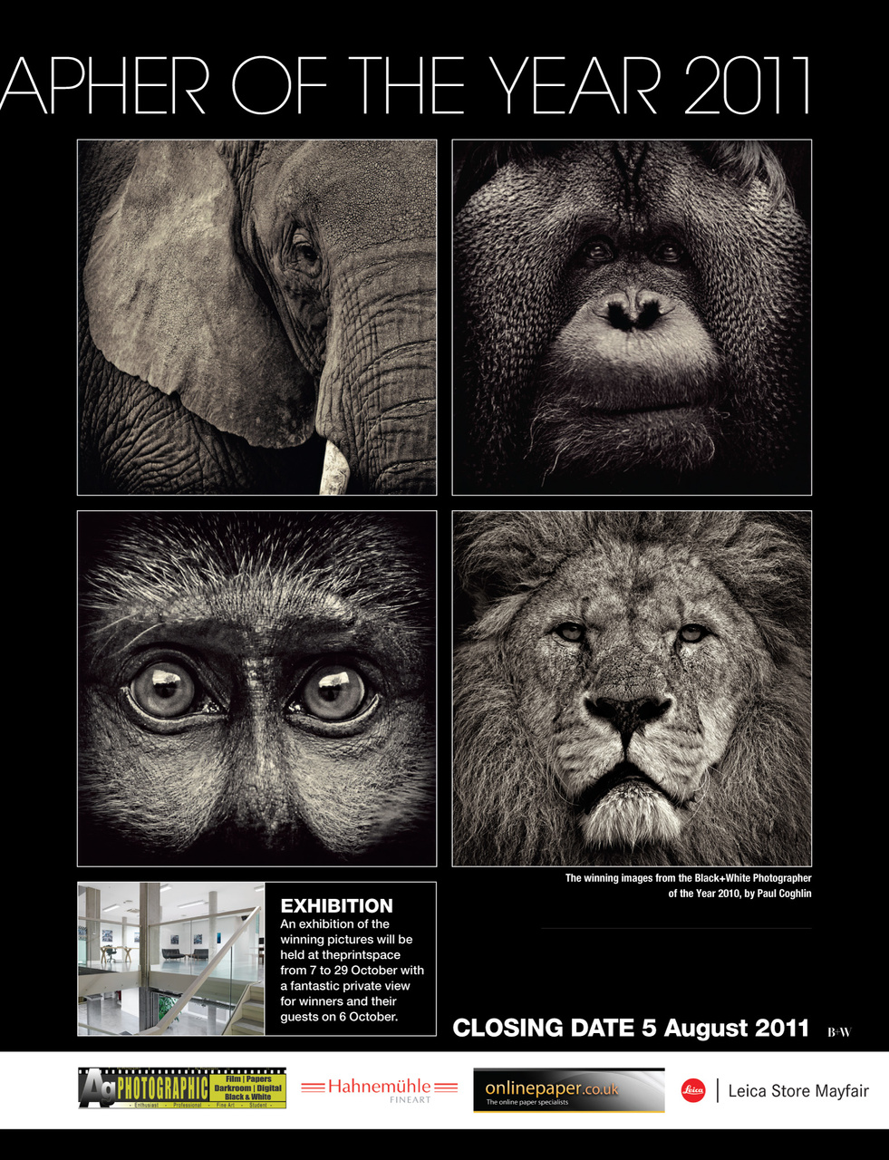 Black+White Photography Preview Pages