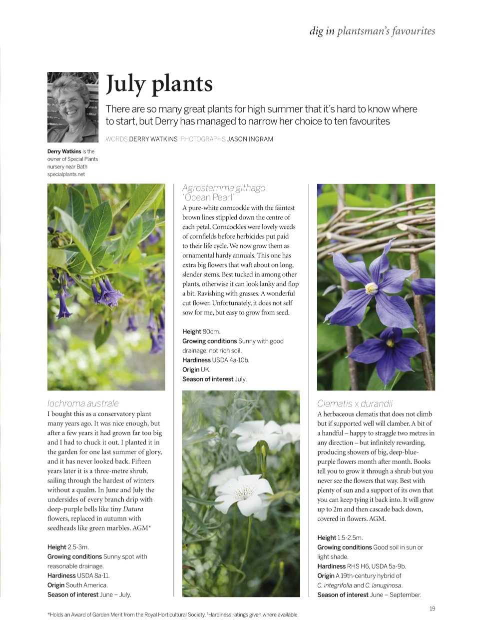 Gardens Illustrated Preview Pages