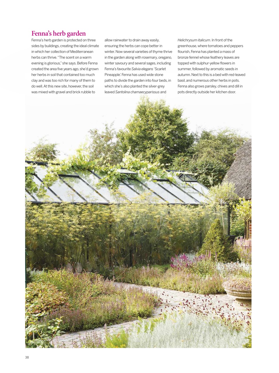 Gardens Illustrated Preview Pages