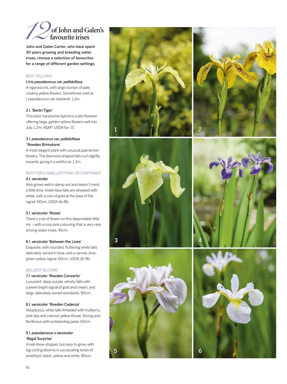 Gardens Illustrated Preview Pages