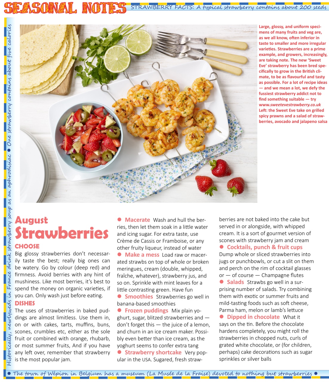 The Taster Magazine Preview Pages