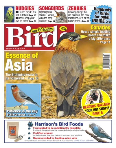 Cage & Aviary Birds issue 