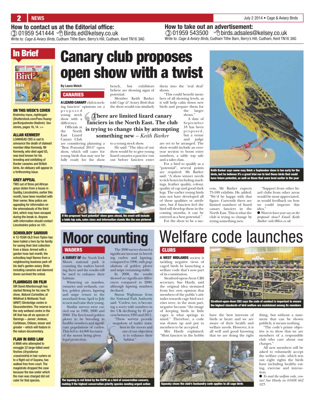 Cage & Aviary Birds Preview Pages