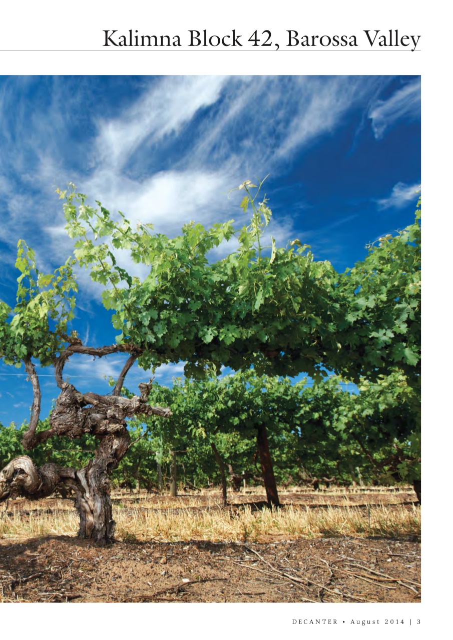 Decanter Preview Pages