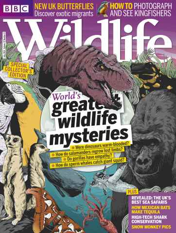 BBC Wildlife Magazine issue July 2014