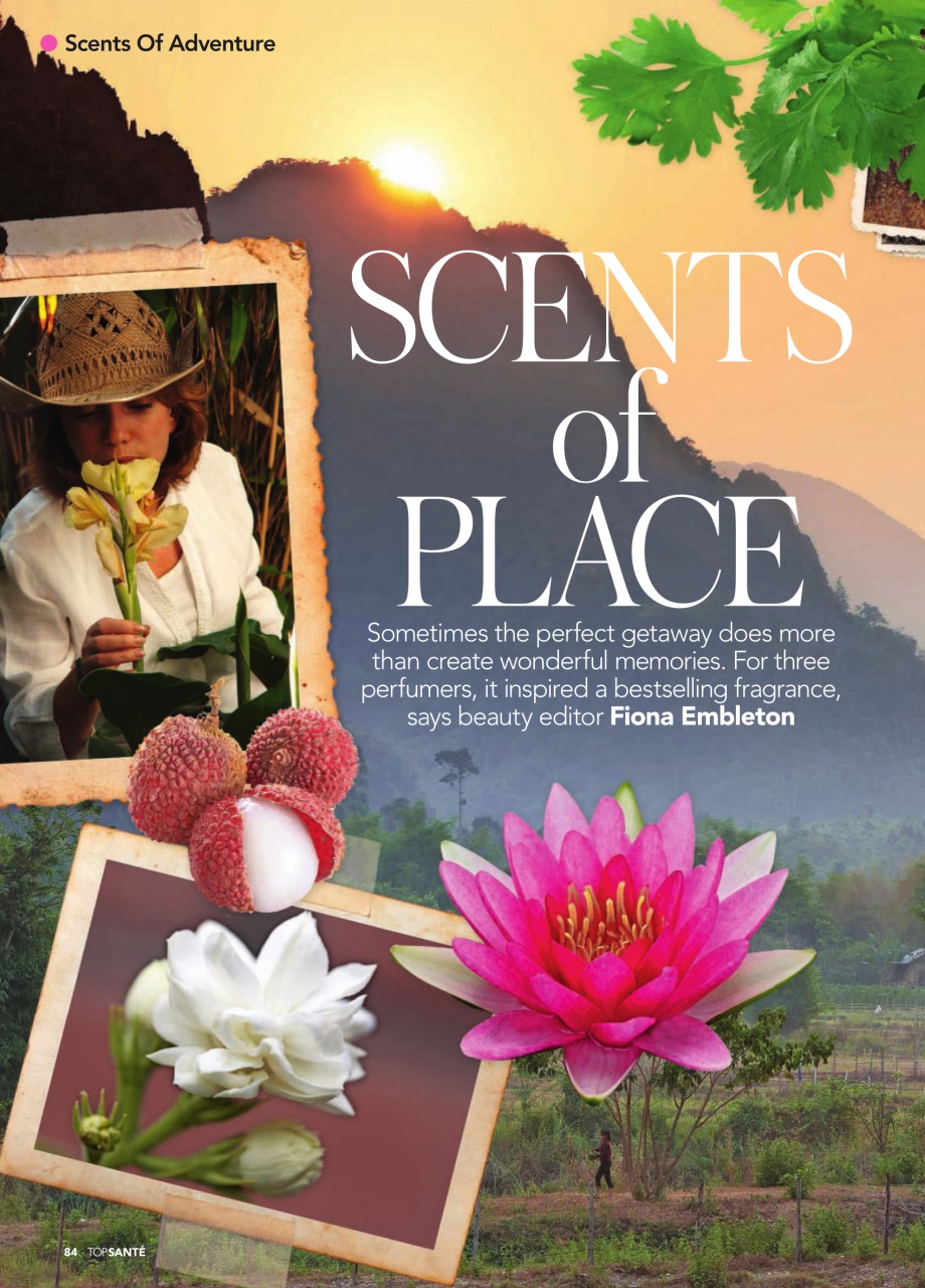 Top Sante Preview Pages