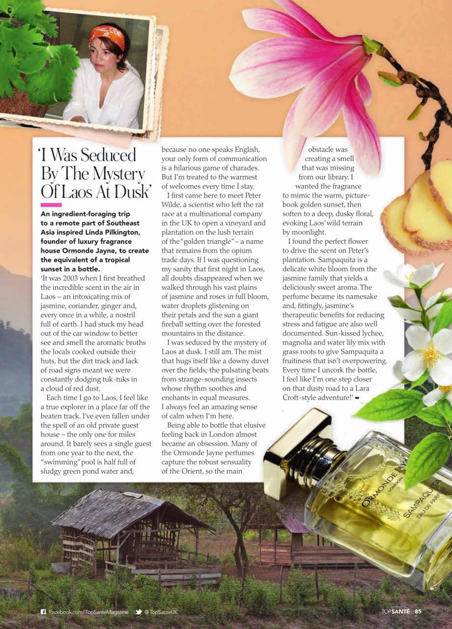 Top Sante Preview Pages