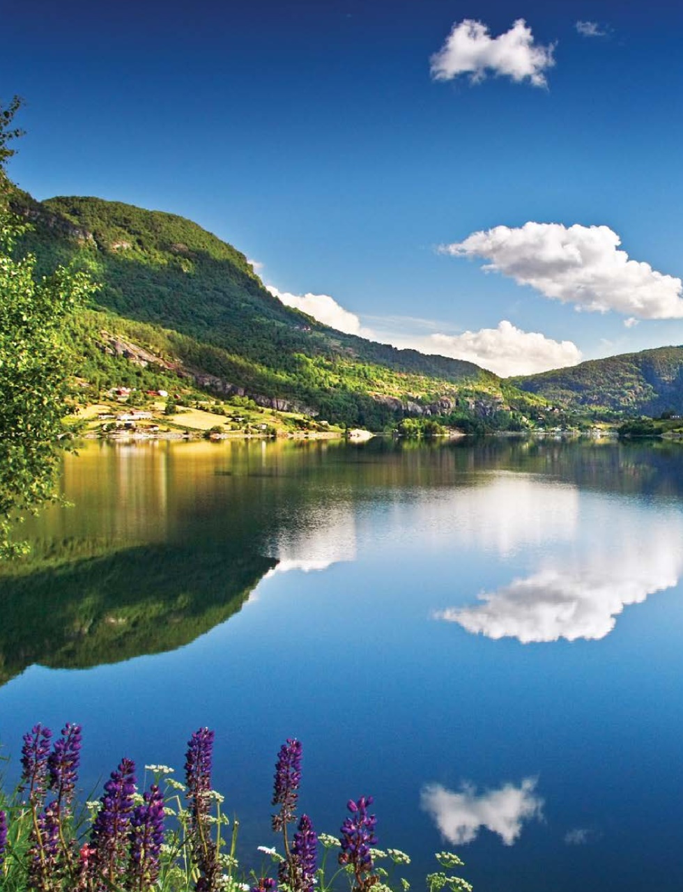 Cruise & Travel Preview Pages