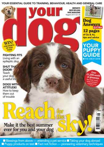 Your Dog issue Your Dog Magazine August 2014