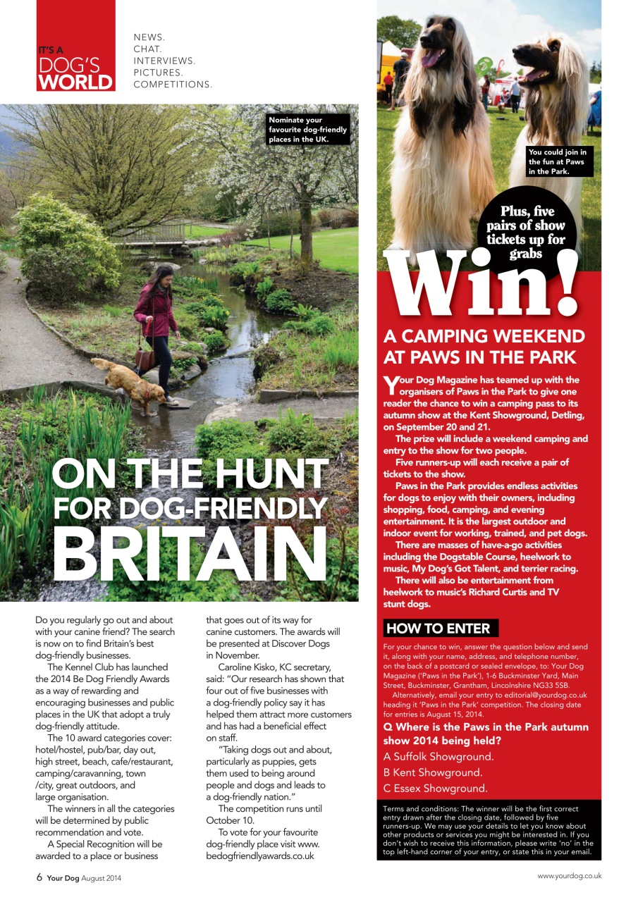 Your Dog Preview Pages