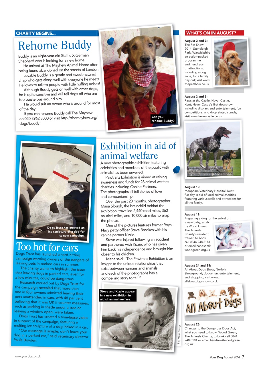 Your Dog Preview Pages