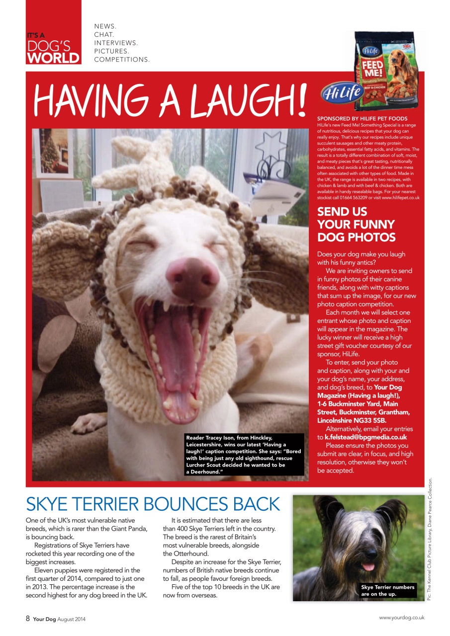 Your Dog Preview Pages