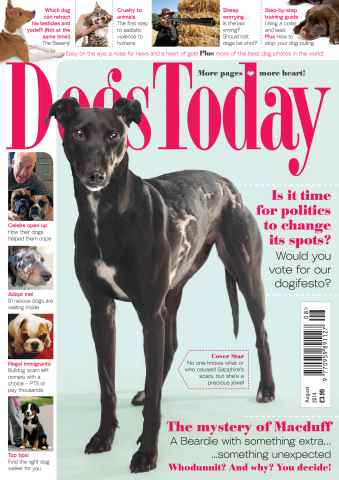 Dogs Today Magazine issue August 2014
