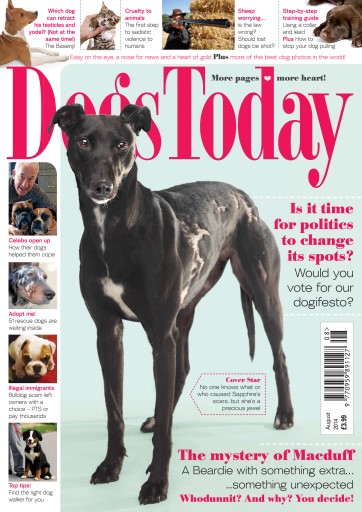 Dogs Today Magazine issue 