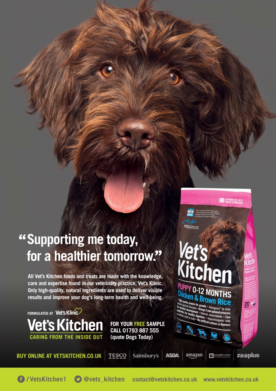 Dogs Today Magazine Preview Pages