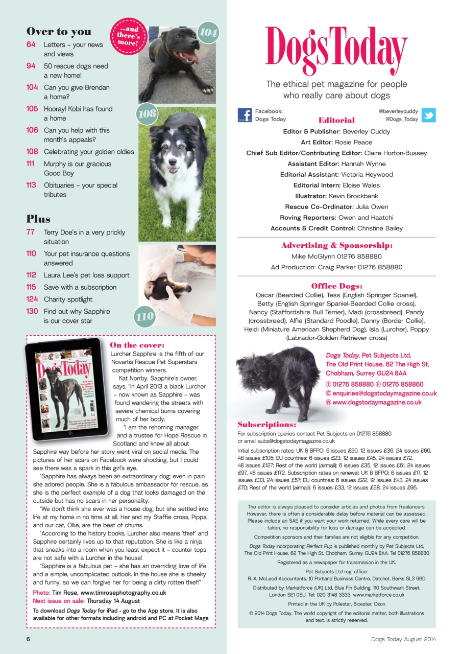 Dogs Today Magazine Preview Pages