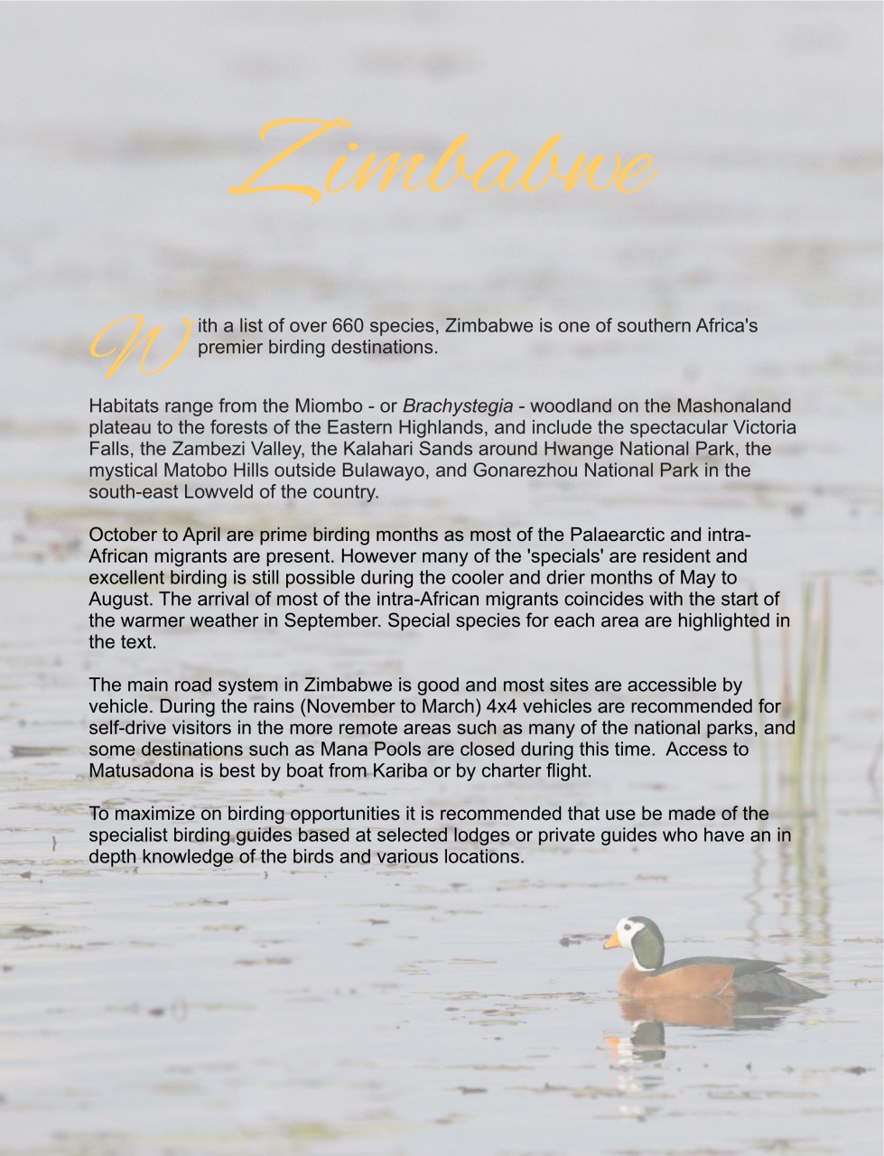 Wild Africa Preview Pages