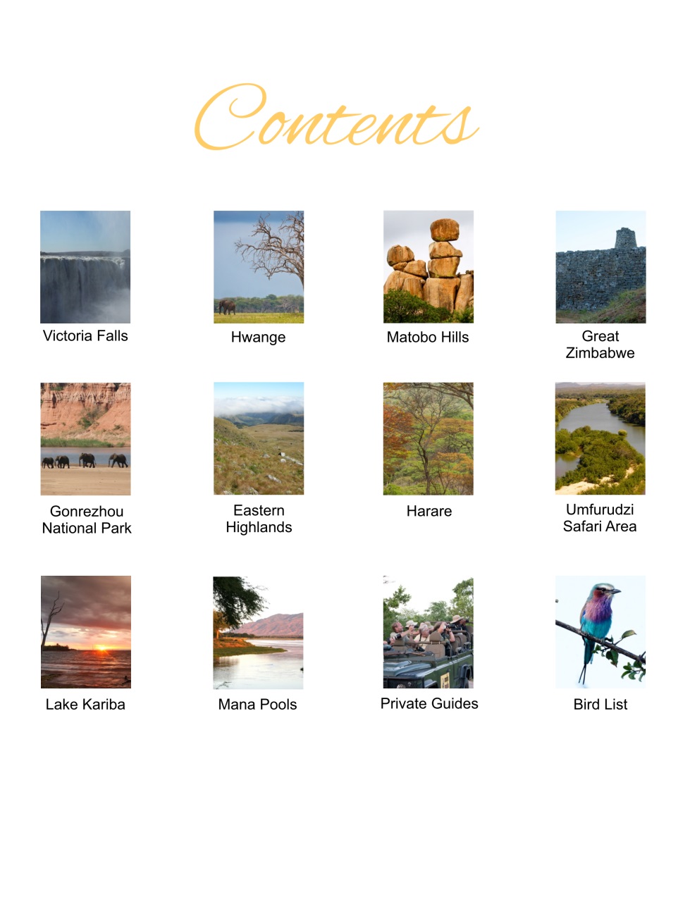 Wild Africa Preview Pages