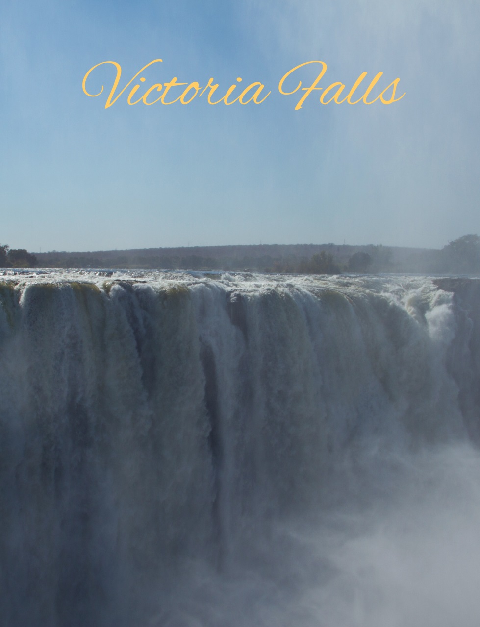 Wild Africa Preview Pages