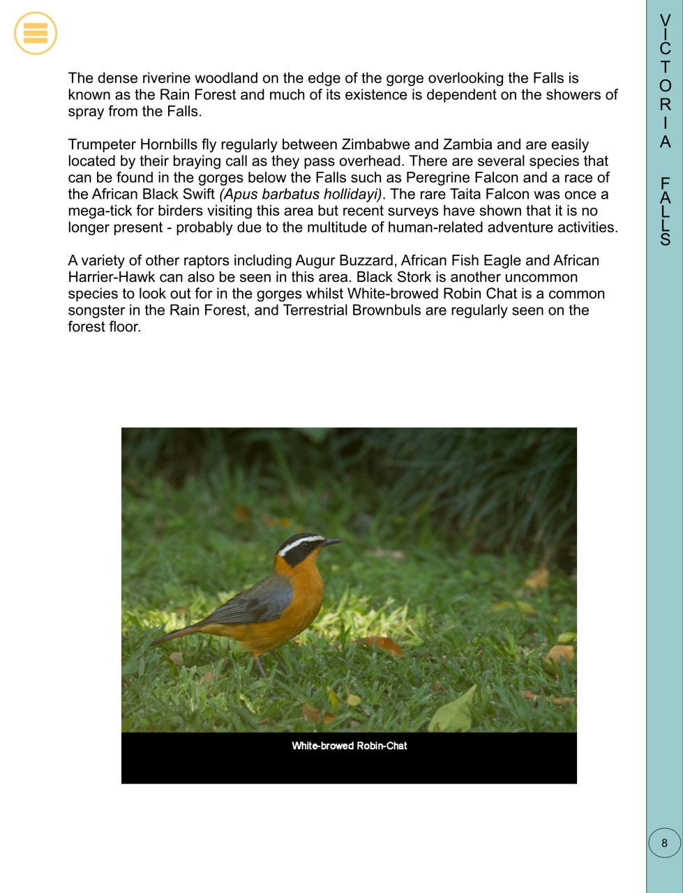 Wild Africa Preview Pages