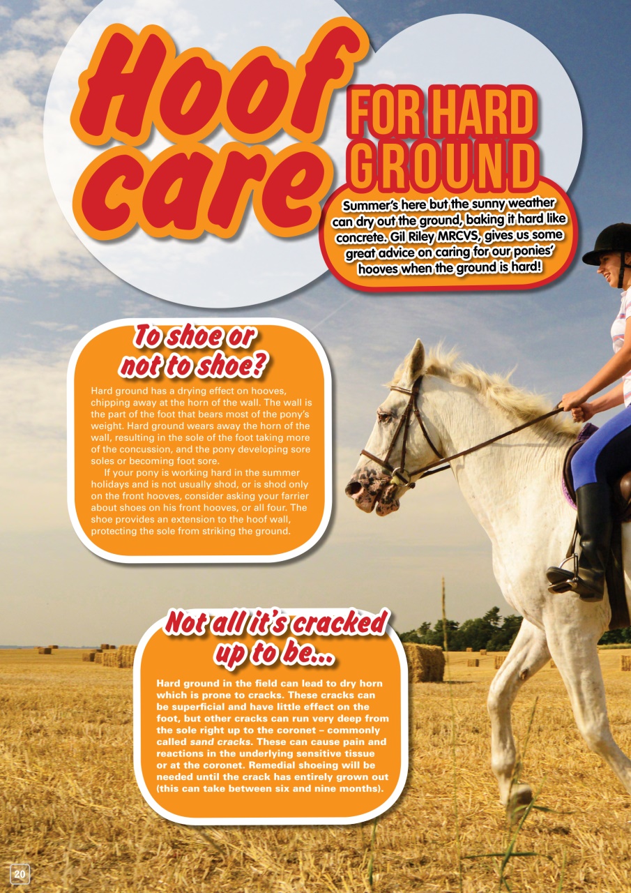 Pony Magazine Preview Pages