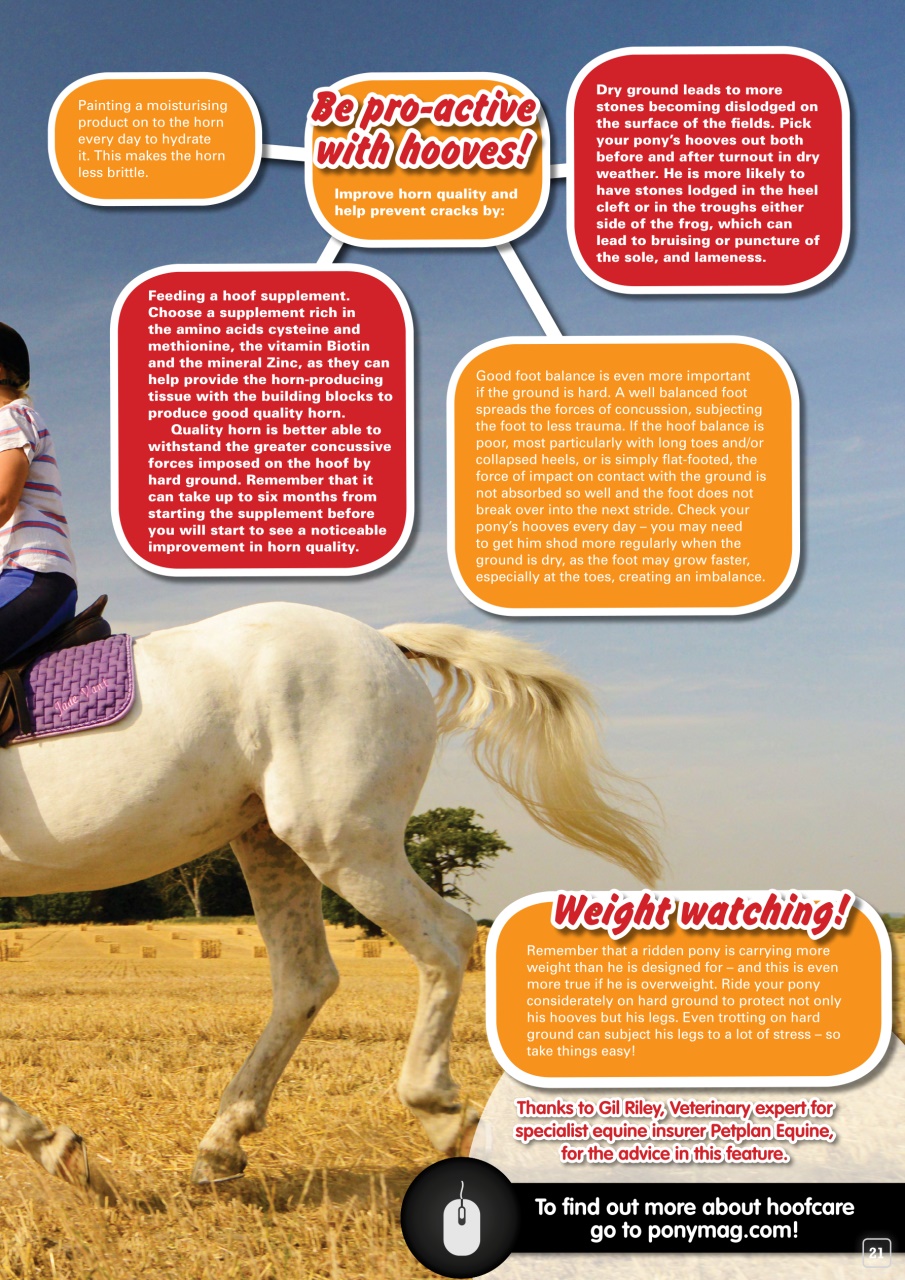 Pony Magazine Preview Pages