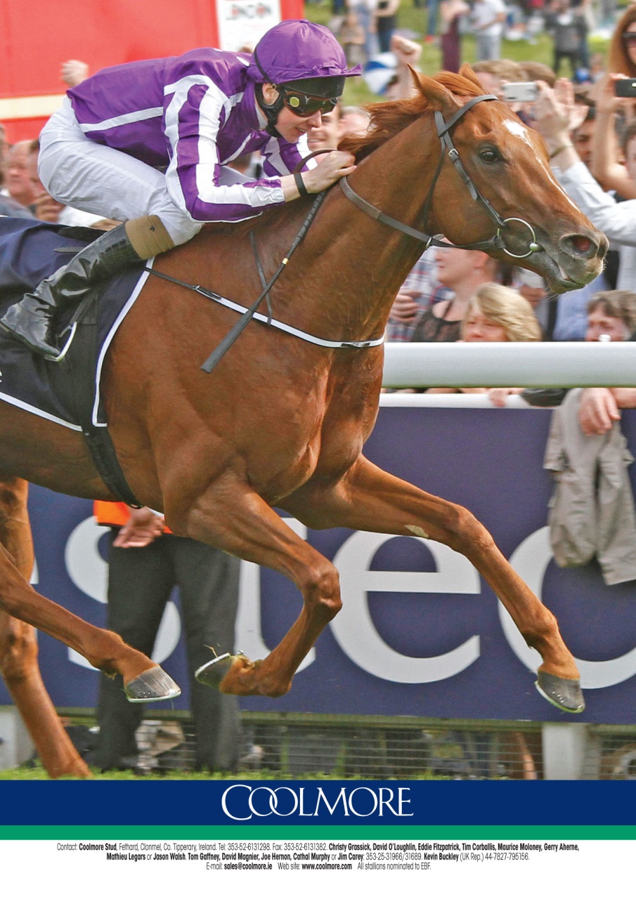 The Owner Breeder Preview Pages