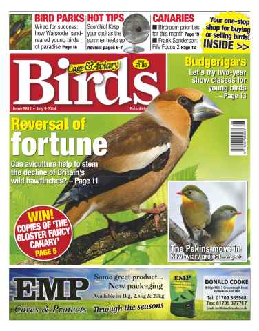 Cage & Aviary Birds issue No.5811 Reversal of Fortune