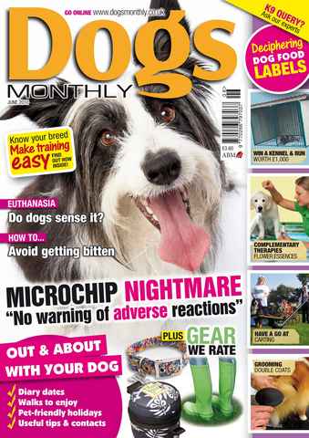 Dogs Monthly issue June 2010