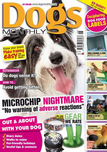 Dogs Monthly issue 