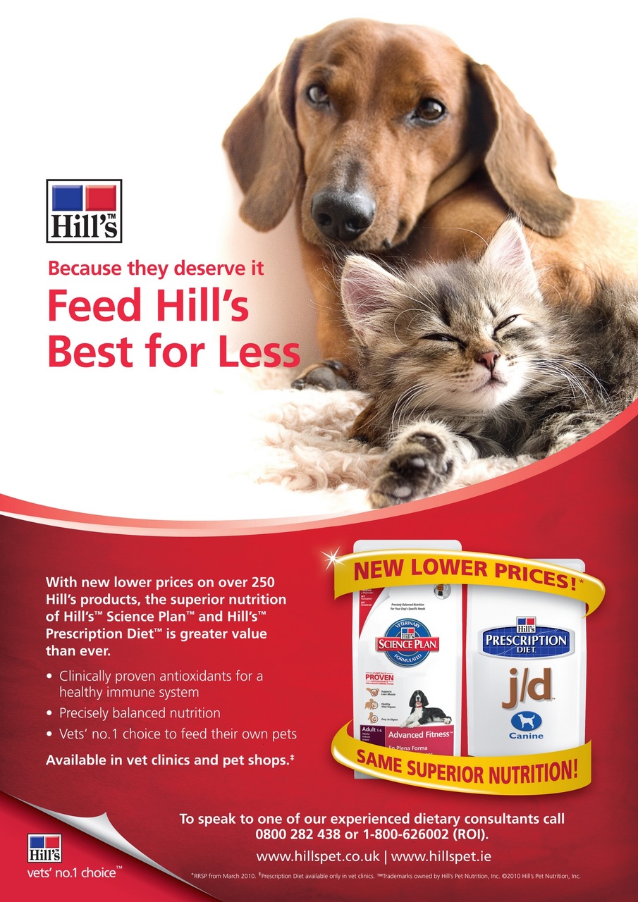 Dogs Monthly Preview Pages