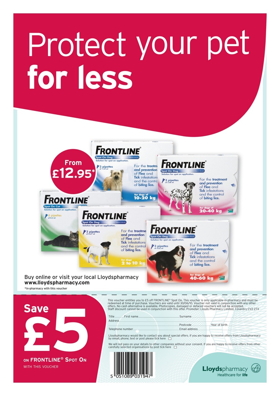 Dogs Monthly Preview Pages