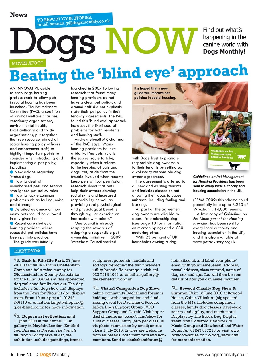 Dogs Monthly Preview Pages