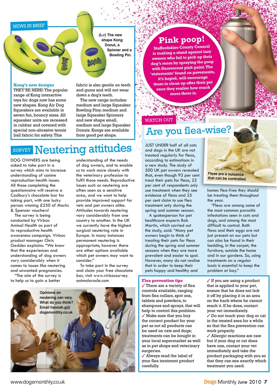 Dogs Monthly Preview Pages