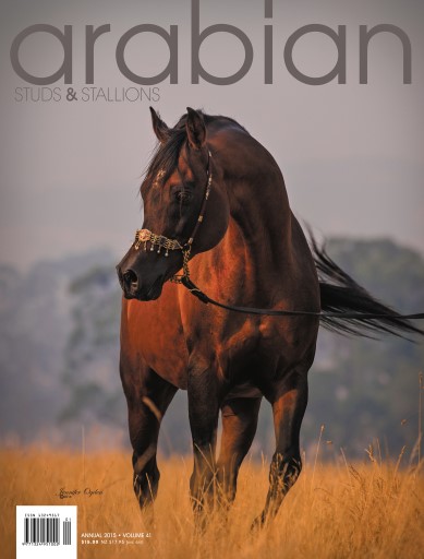 Arabian Studs & Stallions issue 