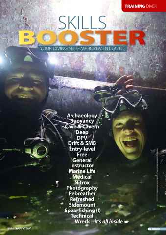 DIVER Skills Booster issue DIVER Skills Booster