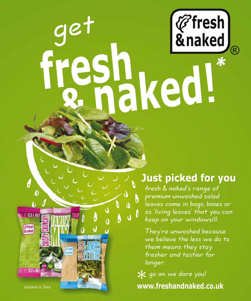 Olive Magazine Preview Pages