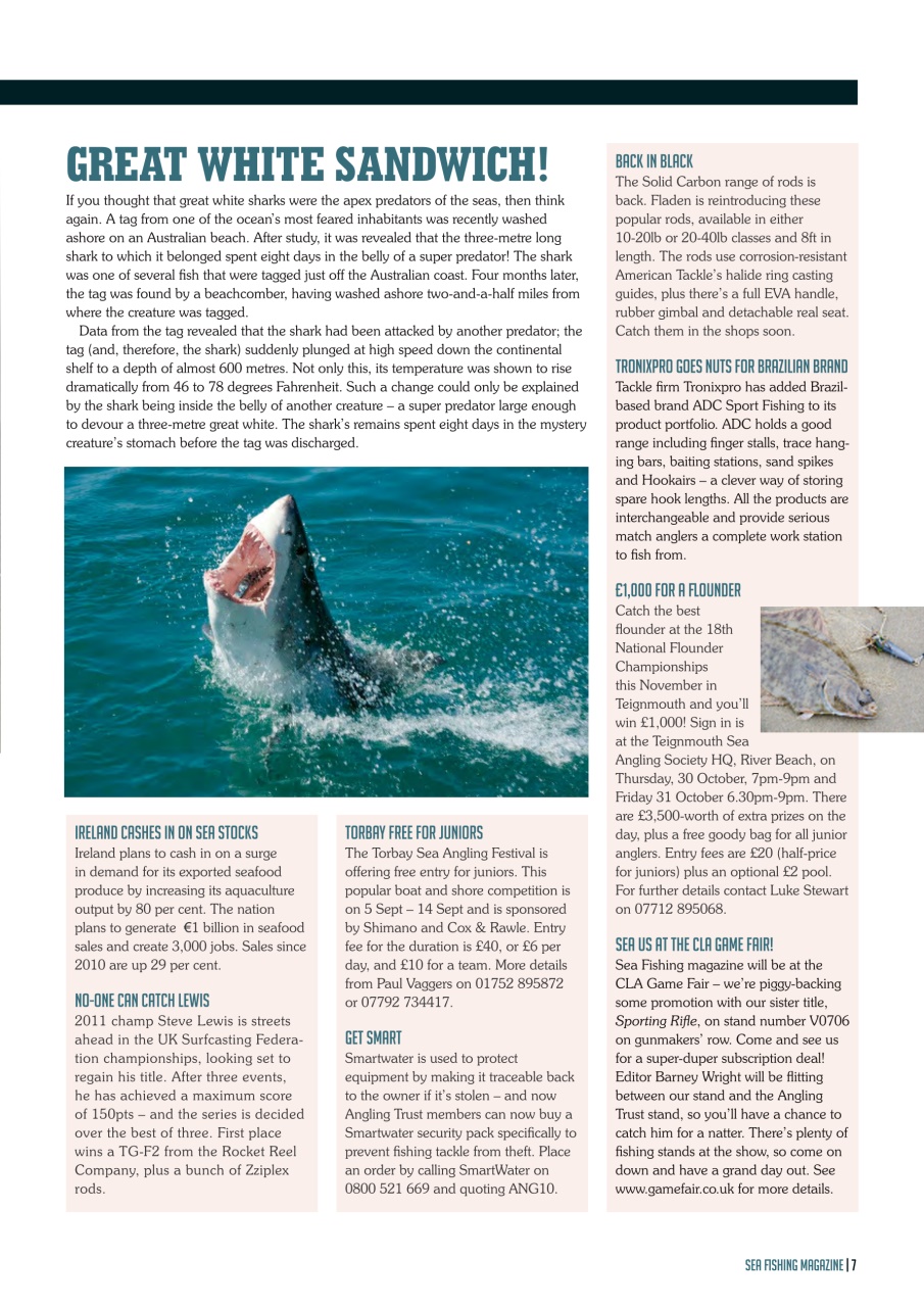 Sea Fishing Magazine Preview Pages