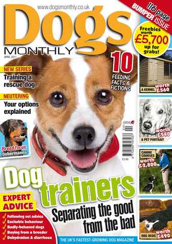 Dogs Monthly issue April 2011