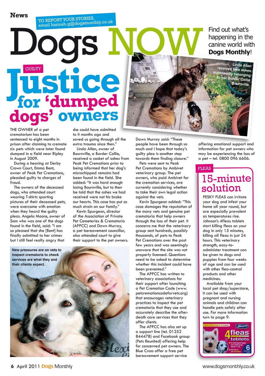Dogs Monthly Preview Pages