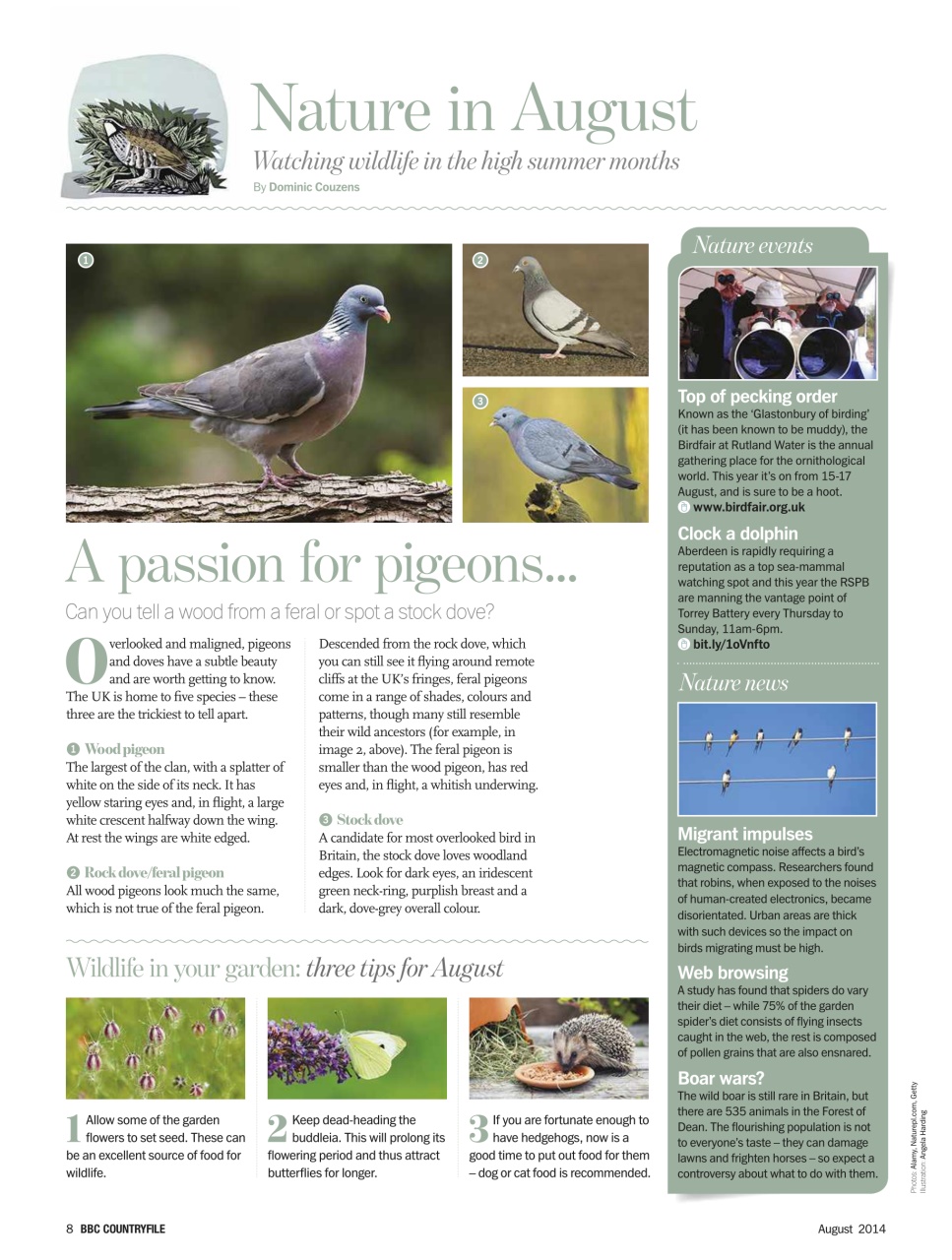 BBC Countryfile Magazine Preview Pages